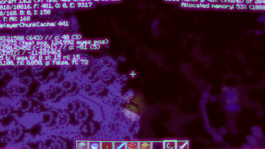 Ton identité est aussi fragile que les archives du jeu cracké d'un gamin en 2011 Installation, Vidéos 2h16min32, Texte Son 4min48, 64 Photographies .