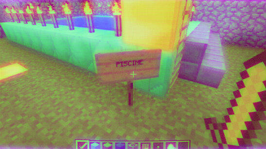 Ton identité est aussi fragile que les archives du jeu cracké d'un gamin en 2011 Installation, Vidéos 2h16min32, Texte Son 4min48, 64 Photographies .