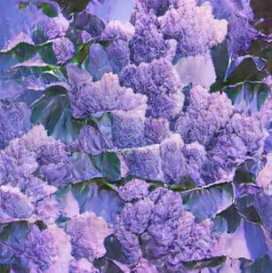 Flor-AI-son, Lilac